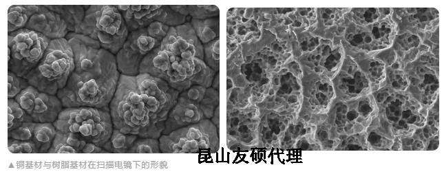 温州蔡司温州扫描电镜