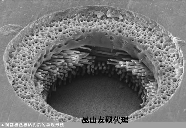 温州蔡司温州扫描电镜